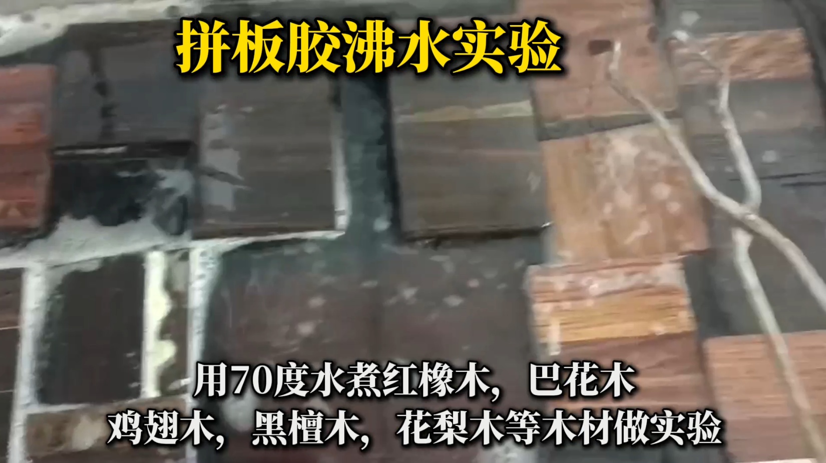 欣凱利拼板膠怎么樣？適合用在什么木材上