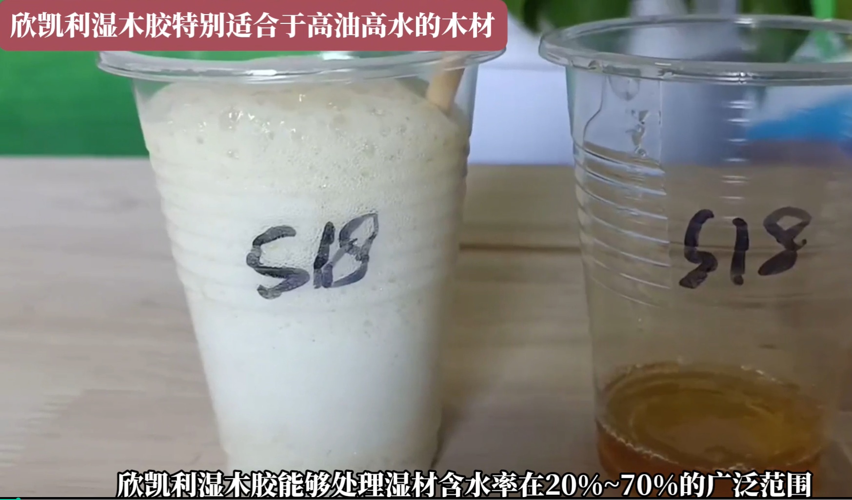 欣凱利濕木膠特別適合于高油高水的木材，快干、快固化