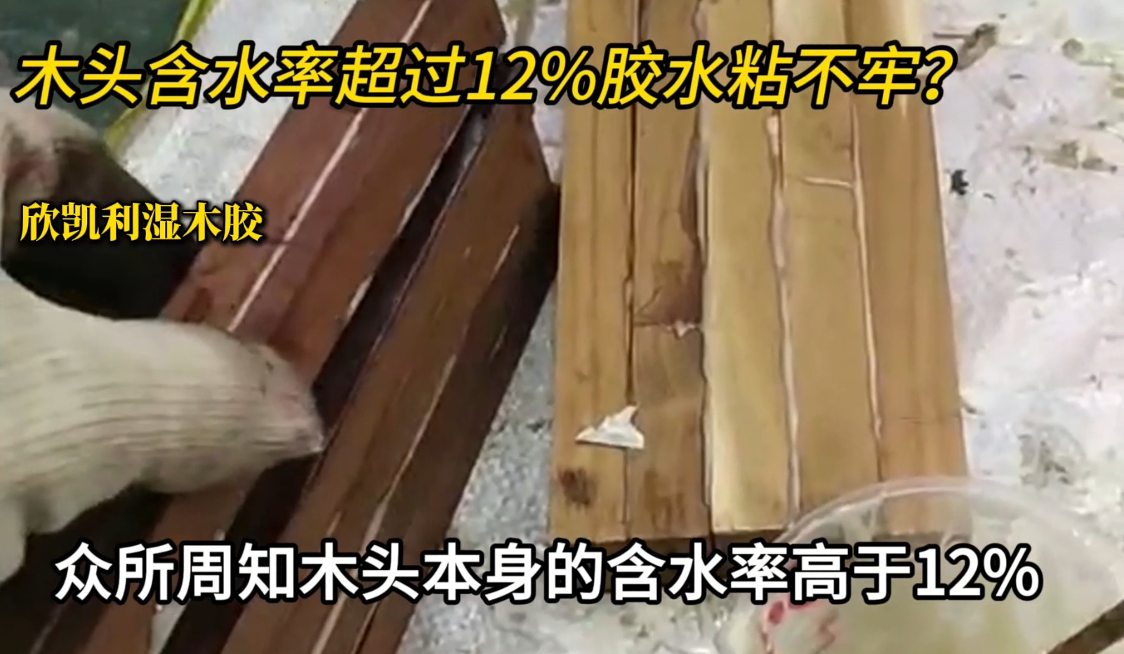 欣凱利濕木膠可用于：橡木、胡桃木、楓木、櫻桃木松木、杉木等木種
